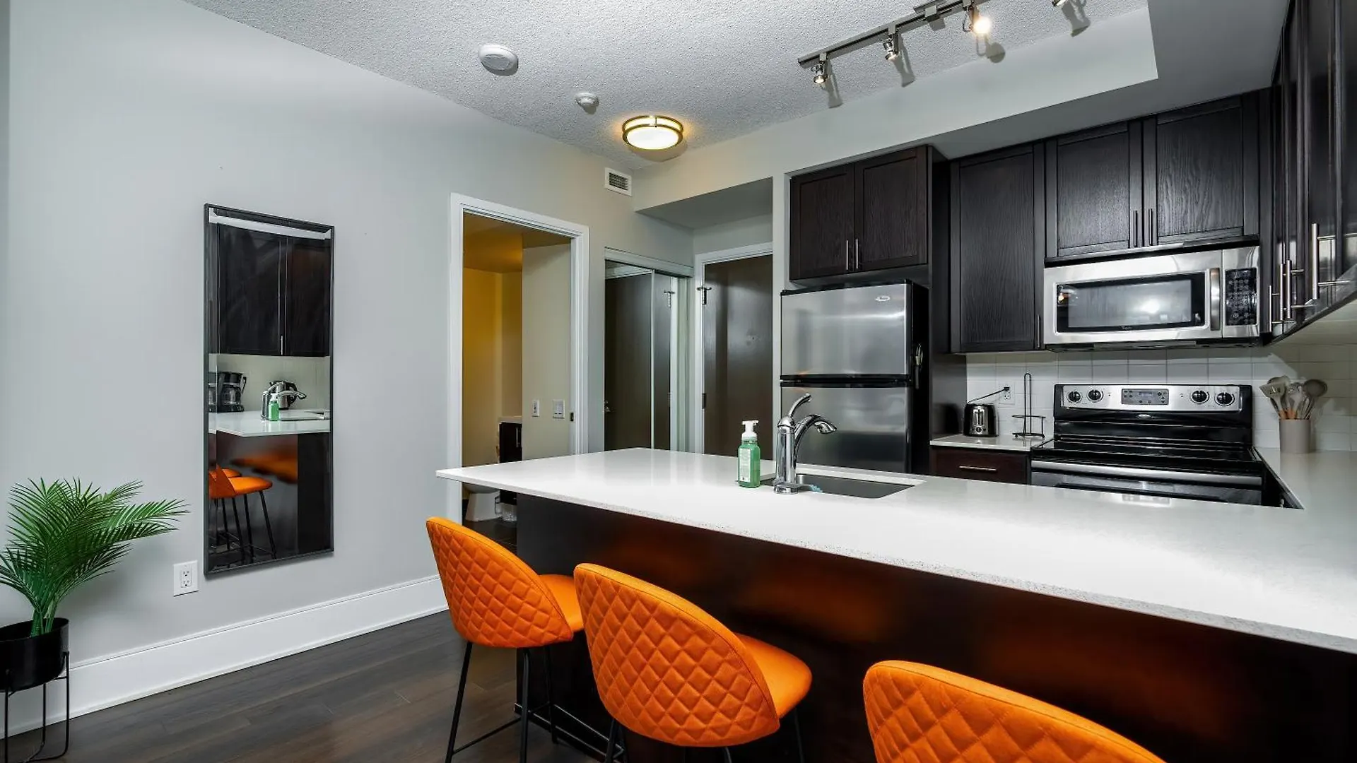 Condo In The Heart Of Downtown Toronto! Apartment Toronto
